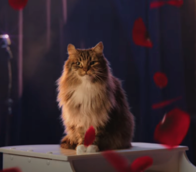 World’s Best Cat Litter Uses an R&B Ballad to Conquer Poop Smell